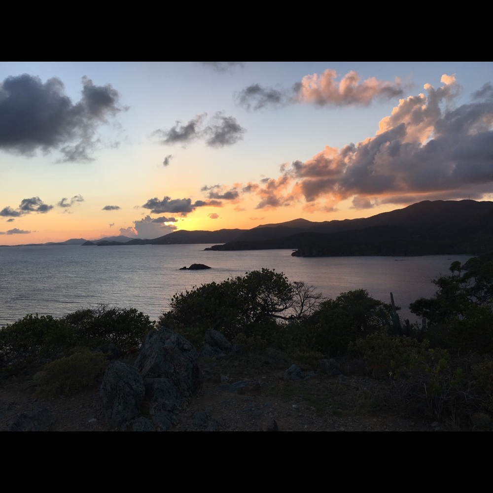 Meet your Posher, Suzanne